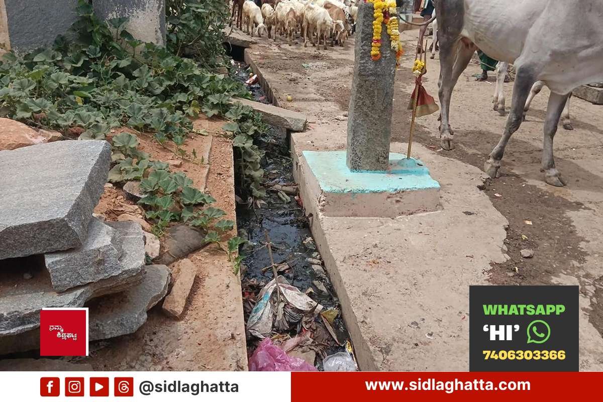 Jarugahalli-Colony-Infrastructure-Neglect-Dibburahalli