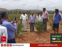 ಬೆಳೆ ಸಮೀಕ್ಷೆ ಆ್ಯಪ್ನಲ್ಲಿ ತಾಂತ್ರಿಕ ದೋಷ: ರೈತರ ಆತಂಕ Sidlaghatta Bele Samikshe Crop Survey Technical Fault Dibburahalli Farmers