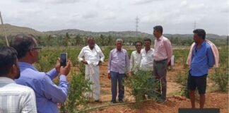 ಬೆಳೆ ಸಮೀಕ್ಷೆ ಆ್ಯಪ್ನಲ್ಲಿ ತಾಂತ್ರಿಕ ದೋಷ: ರೈತರ ಆತಂಕ Sidlaghatta Bele Samikshe Crop Survey Technical Fault Dibburahalli Farmers