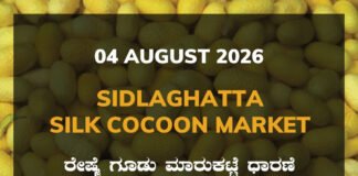 Sidlaghatta Silk Cocoon Market-04/08/2026