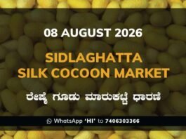 Sidlaghatta Silk Cocoon Market-08/08/2026