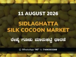 Sidlaghatta Silk Cocoon Market-11/08/2026