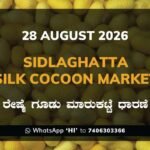 Sidlaghatta-Silk-Cocoon-Market-28-08-2026