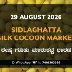 Sidlaghatta-Silk-Cocoon-Market-29-08-2026