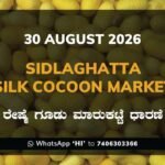 Sidlaghatta-Silk-Cocoon-Market-30-08-2026