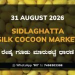Sidlaghatta-Silk-Cocoon-Market-31-08-2026