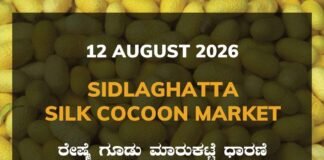 Sidlaghatta Silk Cocoon Market-12/08/2026