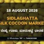 Sidlaghatta-Silk-Cocoon-Market-Price-Rate-18-08-2026