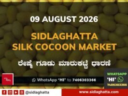 Sidlaghatta Silk Cocoon Market-09/08/2026