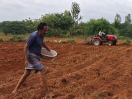 ಆಗಸ್ಟ್ ಆರಂಭದ ಮಳೆಗೆ ಹರ್ಷಗೊಂಡ ರೈತರು: ರಾಗಿ, ಜೋಳ, ಅವರೆ ಬಿತ್ತನೆ ಚುರುಕು
