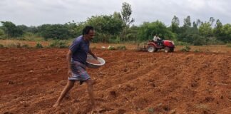 ಆಗಸ್ಟ್ ಆರಂಭದ ಮಳೆಗೆ ಹರ್ಷಗೊಂಡ ರೈತರು: ರಾಗಿ, ಜೋಳ, ಅವರೆ ಬಿತ್ತನೆ ಚುರುಕು