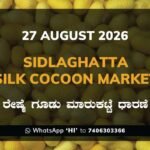 sidlaghatta-silk-cocoon-market-27-08-2026