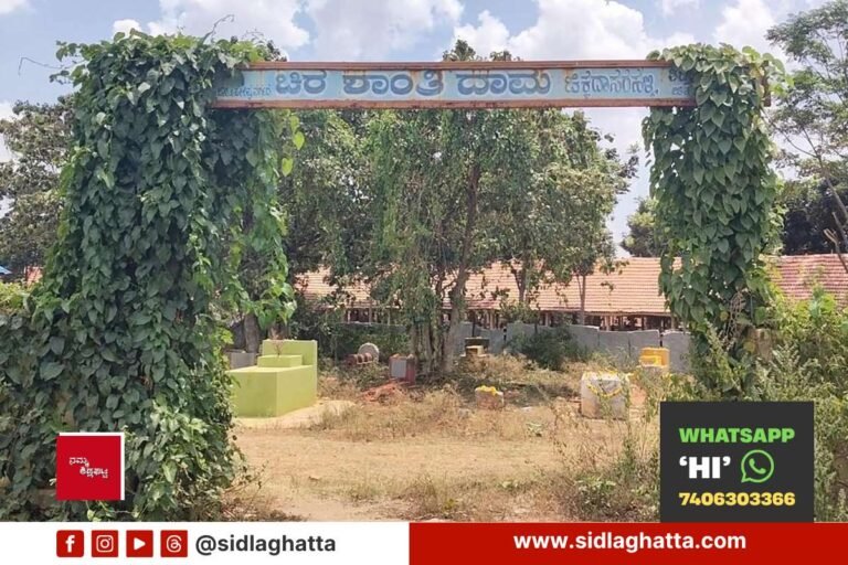 Chikkadasarahalli-Rudrabhoomi-Neglect-Overgrown