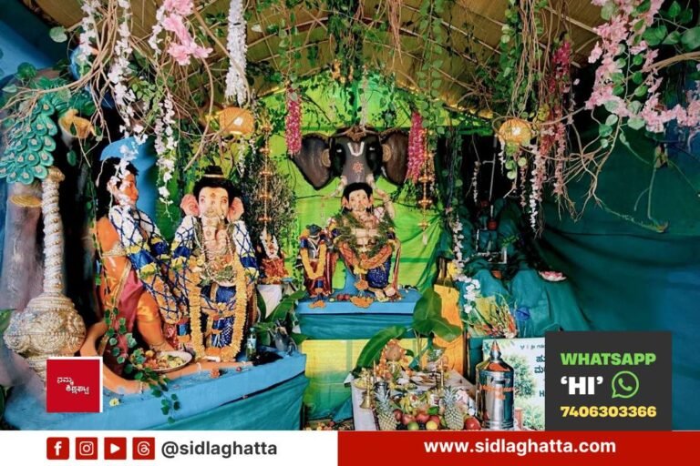 Eco-Friendly-Ganesh-Utsav-Green-Sidlaghatta