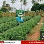 Farmer-Krishnamurthy-Own-Photo-Scarecrow-Malamachanahalli