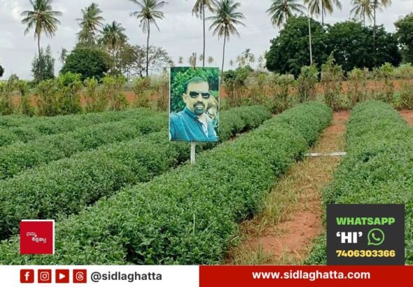 Farmer-Krishnamurthy-Own-Photo-Scarecrow-Malamachanahalli