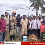 Fire-Brigade-Rescue-Dog-Open-Well-Baluvanahalli