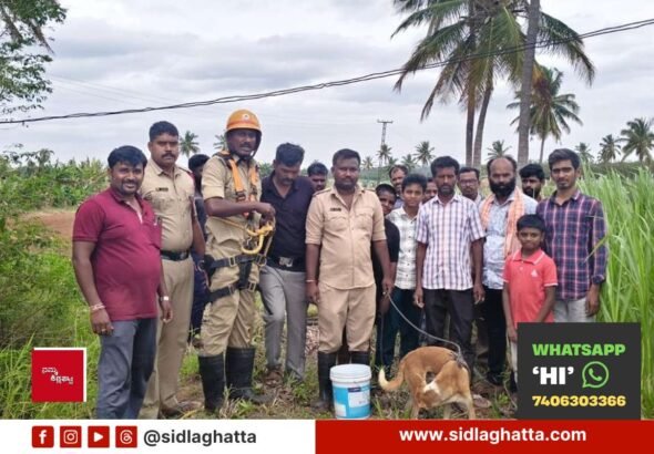 Fire-Brigade-Rescue-Dog-Open-Well-Baluvanahalli