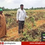 Land-Dispute-Tomato-Crop-Destroyed-Allegation-Sidlaghatta