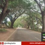 Sidlaghatta-Highway-Trees-Marked-For-Felling