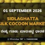 Sidlaghatta-Silk-Cocoon-Market-01-09-2026
