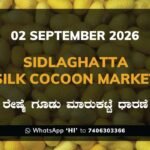 Sidlaghatta-Silk-Cocoon-Market-02-09-2026