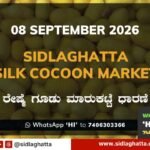 Sidlaghatta-Silk-Cocoon-Market-08-September-2026