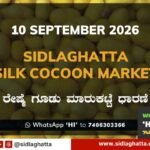 Sidlaghatta-Silk-Cocoon-Market-10-September-2026