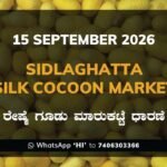 Sidlaghatta-Silk-Cocoon-Market-15-September-2026