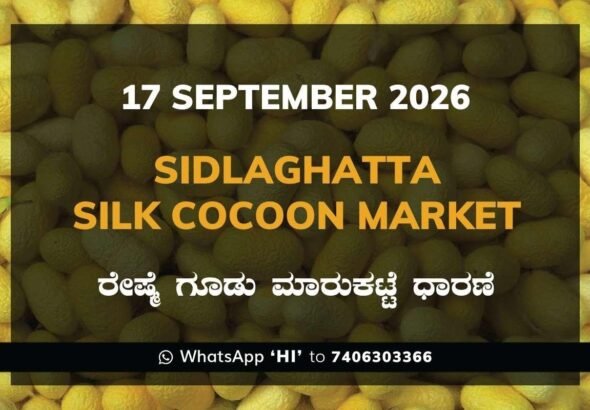 Sidlaghatta-Silk-Cocoon-Market-17-September-2026