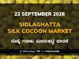 Sidlaghatta Silk Cocoon Market rates 22 September 2026