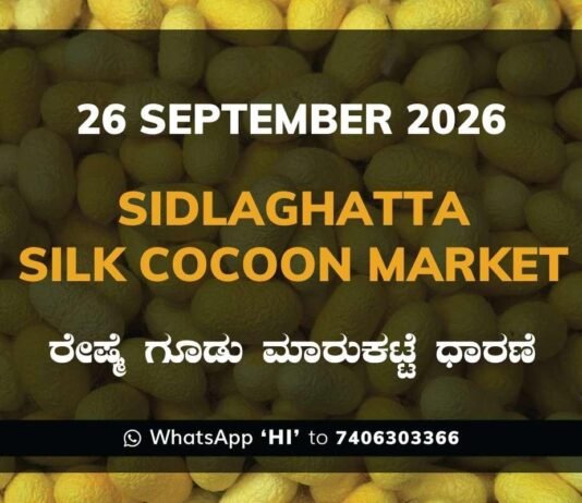 Sidlaghatta Silk Cocoon Market rates 26 September 2026