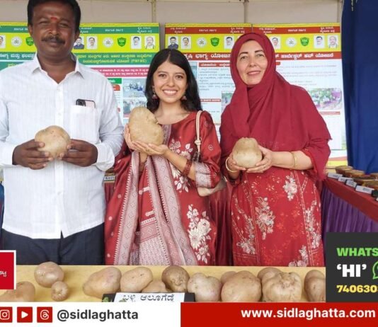 Appegowdanahalli farmer Tyagaraj shows vine potato at Farmers Dasara Mysuru exhibition