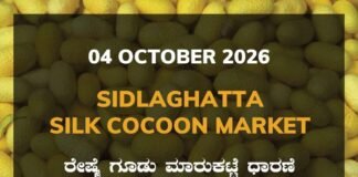Sidlaghatta Silk Cocoon Market-04/10/2026 Sidlaghatta Silk Cocoon Market Rate 04 October 2026