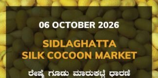Sidlaghatta Silk Cocoon Market-06/10/2026 Sidlaghatta Silk Cocoon Market Rate 06 October 2026