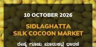 Sidlaghatta Silk Cocoon Market-10/10/2026 Sidlaghatta Silk Cocoon Market Rate 10 October 2026