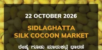 Sidlaghatta Silk Cocoon Market-22/10/2026 Sidlaghatta Silk Cocoon Market Rate 22 October 2026