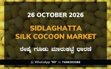 Sidlaghatta Silk Cocoon Market rate 26 October 2026