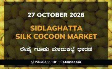 Sidlaghatta Silk Cocoon Market-27/10/2026